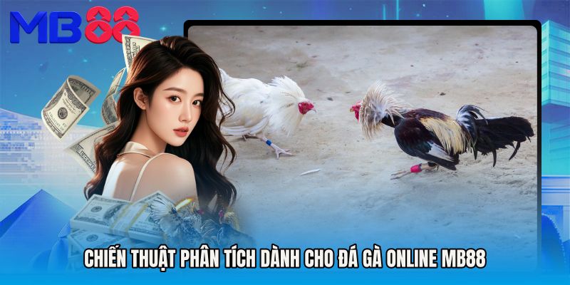 Chiến thuật phân tích dành cho Đá gà Online MB88