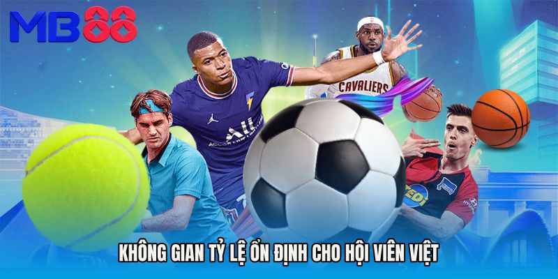 Không gian tỷ lệ ổn định cho hội viên Việt