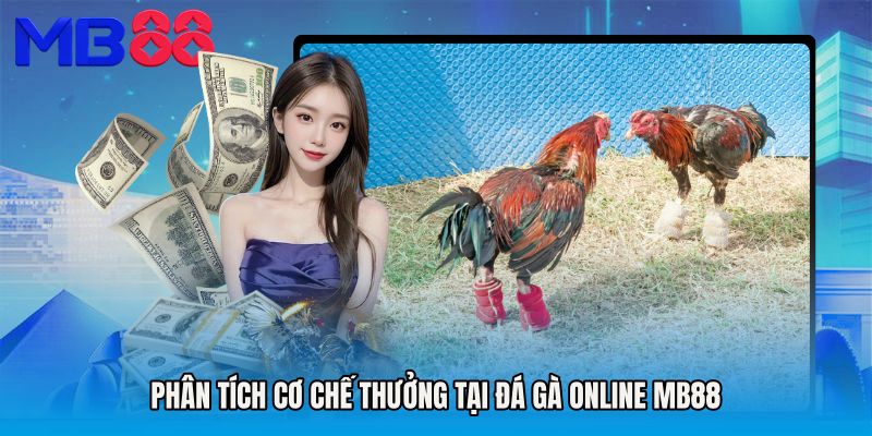Phân tích cơ chế thưởng tại Đá gà Online MB88