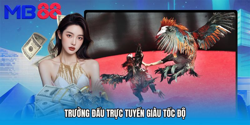 Trường đấu trực tuyến giàu tốc độ