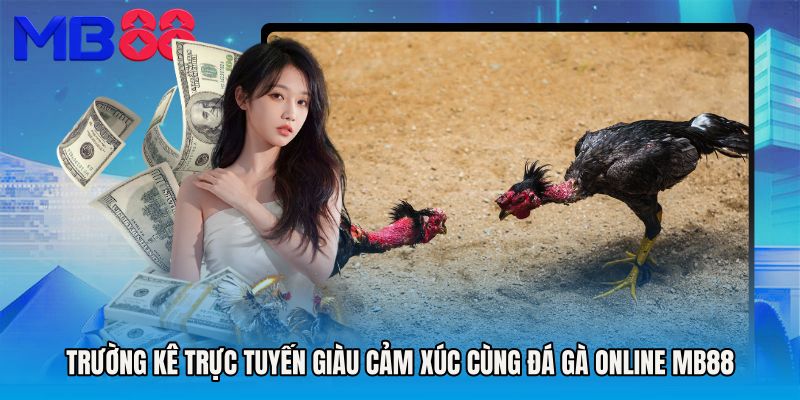 Trường kê trực tuyến giàu cảm xúc cùng Đá gà Online MB88